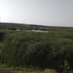 Afrin River - 'afrin