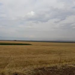 Afrin River - 'afrin