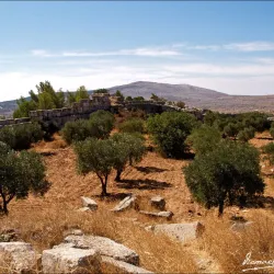 Mount Simeon - 'afrin