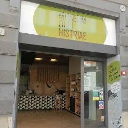 Olive Oil Museum - 'afrin