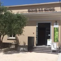 Olive Oil Museum - 'afrin