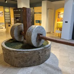 Olive Oil Museum - 'afrin
