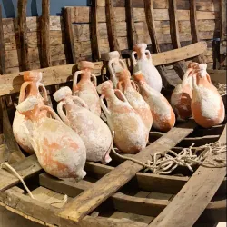 Olive Oil Museum - 'afrin