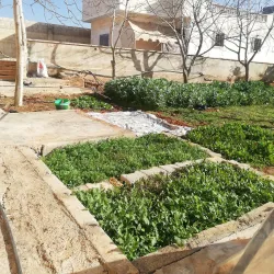 Al Bab Mosque - Al Bab