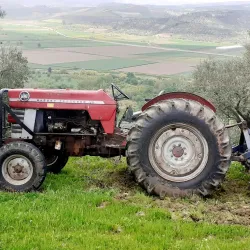 Al Bab Public Park - Al Bab