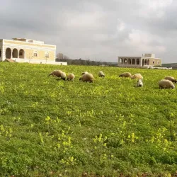 Al Bab Public Park - Al Bab