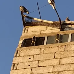 Ancient Ruins near Al Qamishli - Al Qamishli