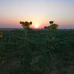Khabur River Promenade - Al Qamishli