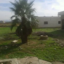 Al-Qusayr Archaeological Site - Al-Qusayr