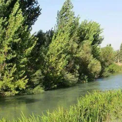 Al-Qusayr Cultural Center - Al-Qusayr