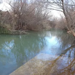 Al-Qusayr Old City - Al-Qusayr