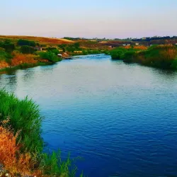Orontes River - Al-Qusayr