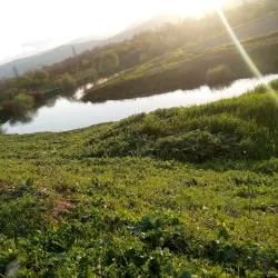 Orontes River - Al-Qusayr