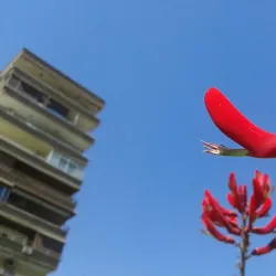 Community Parks and Gardens - Al-Qutayfah