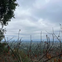 Nearby Mountain Trails - Al-Qutayfah