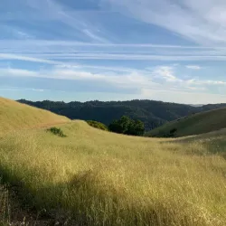 Nearby Mountain Trails - Al-Qutayfah