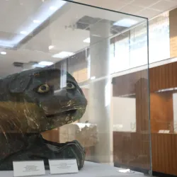 Aleppo National Museum - Aleppo