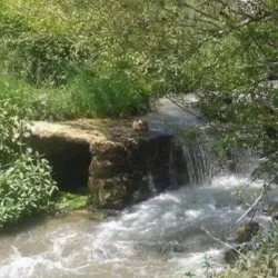 Az-zabadani Fruit Festival - Az-zabadani