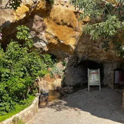 Local Fruit Orchards - Az-zabadani