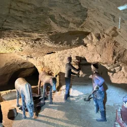 Local Fruit Orchards - Az-zabadani