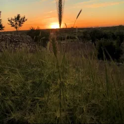 Nearby Natural Landscapes - Azaz