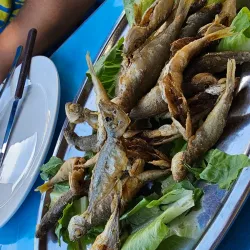 Traditional Syrian Cuisine Restaurants - Azaz