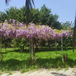 Al-Bassel Park - Baniyas