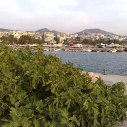 Baniyas Port - Baniyas