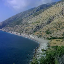 Traditional Syrian Restaurants - Baniyas