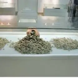 Dar'a Museum - Dar'a