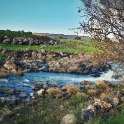 Jabal al-Druze (Jabal al-Arab) - Dar'a