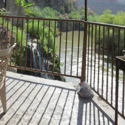 Yarmouk River - Dar'a