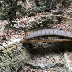 Darayya Festival - Darayya