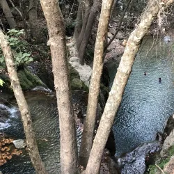 Darayya Festival - Darayya