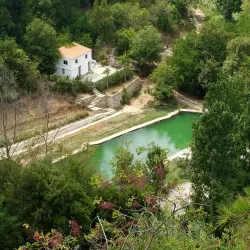 Darayya Park - Darayya