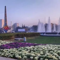 Local Festivals and Events - Douma