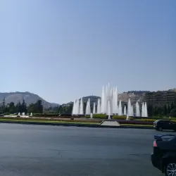 Local Festivals and Events - Douma