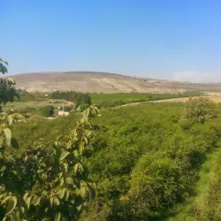 Nearby Archaeological Sites - Douma