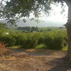 Nearby Archaeological Sites - Douma