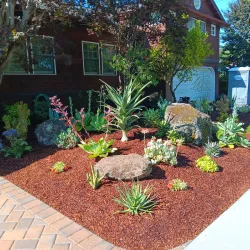 Nearby Natural Landscapes - Douma