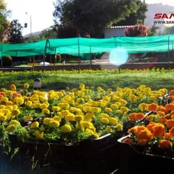 Local Parks and Green Spaces - 'irbin