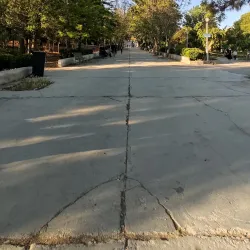 Local Parks and Green Spaces - 'irbin