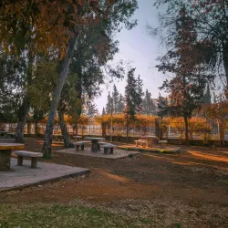 Local Parks and Green Spaces - 'irbin