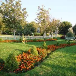 Local Parks and Green Spaces - 'irbin