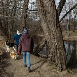 Nearby Eastern Ghouta Agricultural Fields - 'irbin