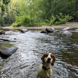 Nearby Eastern Ghouta Agricultural Fields - 'irbin