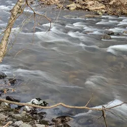 Nearby Eastern Ghouta Agricultural Fields - 'irbin