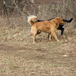 Nearby Eastern Ghouta Agricultural Fields - 'irbin