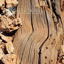 Nearby Qalamoun Mountains - 'irbin