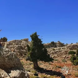 Nearby Qalamoun Mountains - 'irbin